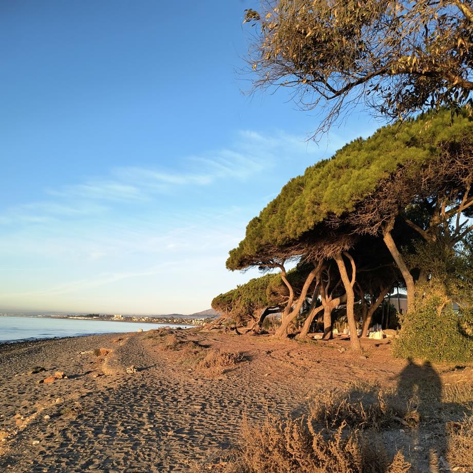 Sandy part of the senda litoral